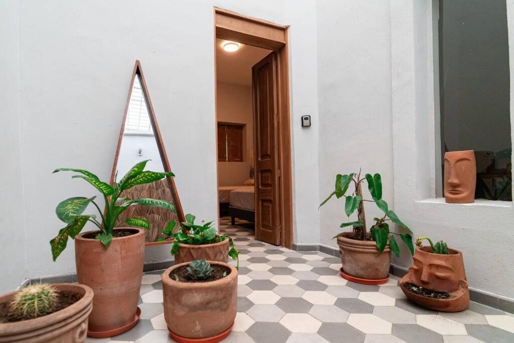 과달라하라 Casa Del Desierto 빌라 외부 사진